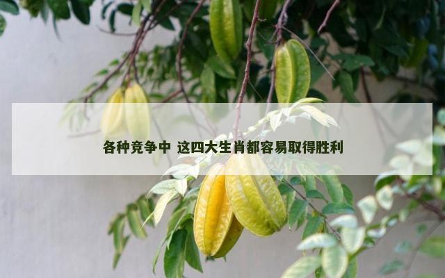 各种竞争中 这四大生肖都容易取得胜利