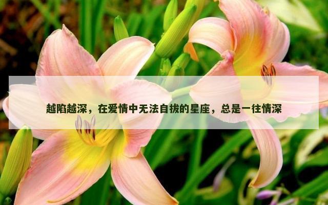 越陷越深，在爱情中无法自拔的星座，总是一往情深