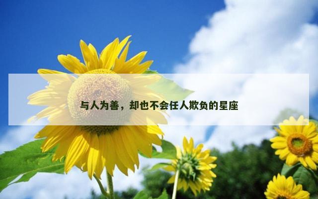 与人为善，却也不会任人欺负的星座