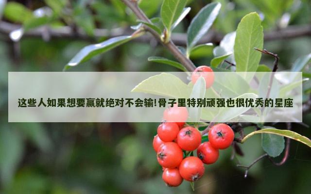 这些人如果想要赢就绝对不会输!骨子里特别顽强也很优秀的星座