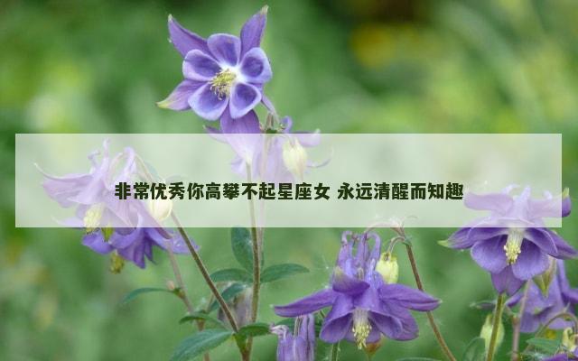 非常优秀你高攀不起星座女 永远清醒而知趣