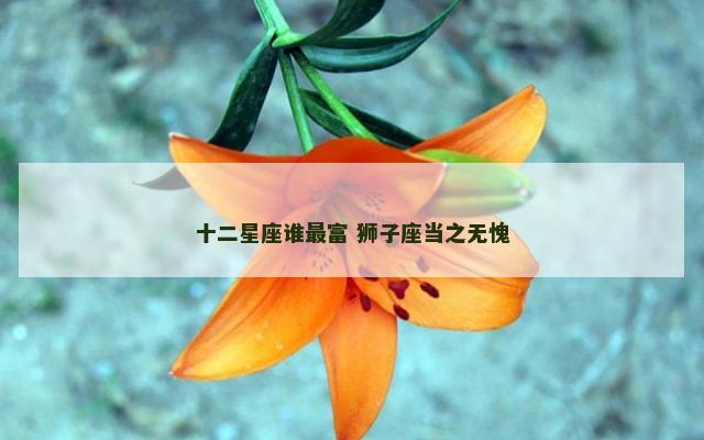 十二星座谁最富 狮子座当之无愧