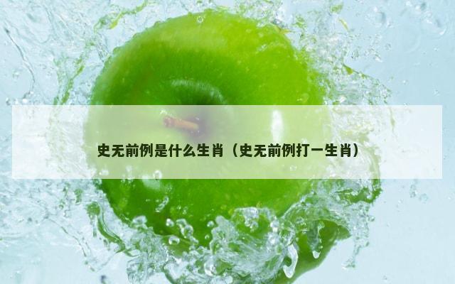 史无前例是什么生肖（史无前例打一生肖）