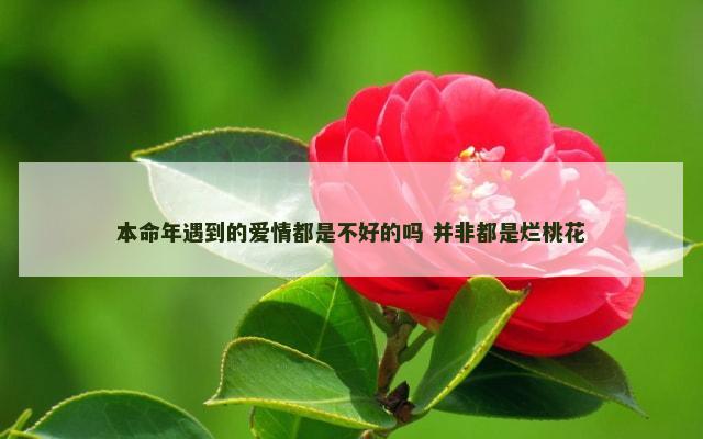 本命年遇到的爱情都是不好的吗 并非都是烂桃花
