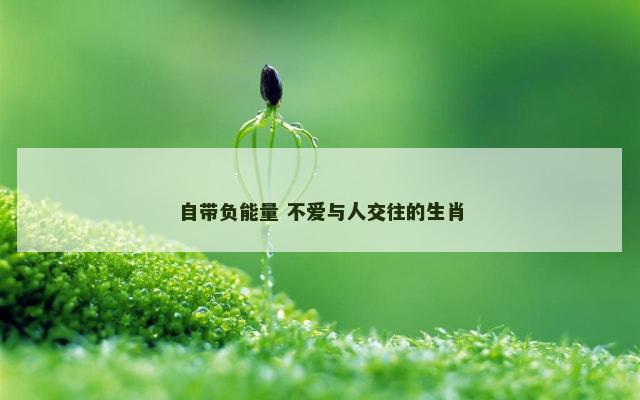 自带负能量 不爱与人交往的生肖