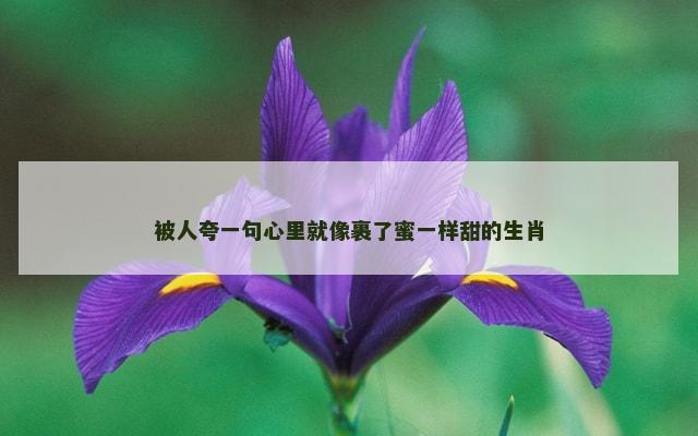 被人夸一句心里就像裹了蜜一样甜的生肖
