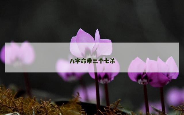 八字命带三个七杀