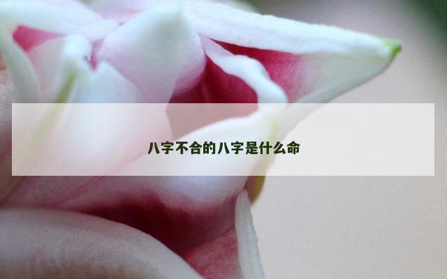 八字不合的八字是什么命