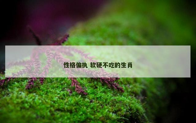 性格偏执 软硬不吃的生肖