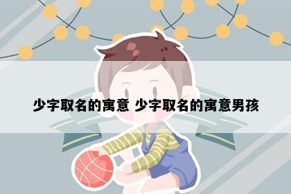 少字取名的寓意 少字取名的寓意男孩