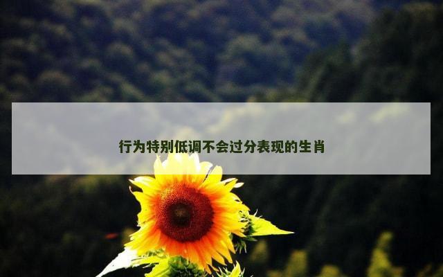 行为特别低调不会过分表现的生肖