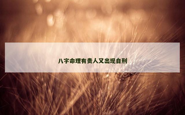 八字命理有贵人又出现自刑