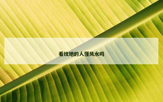 看坟地的人懂风水吗