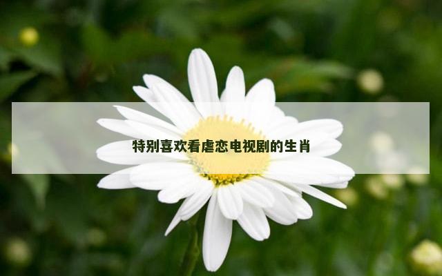 特别喜欢看虐恋电视剧的生肖
