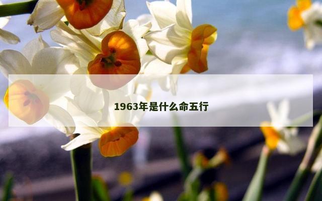 1963年是什么命五行