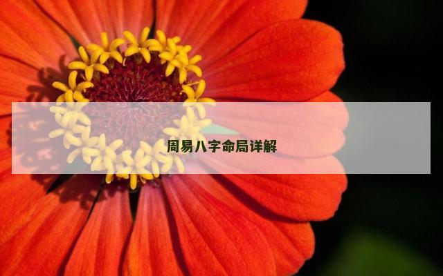 周易八字命局详解