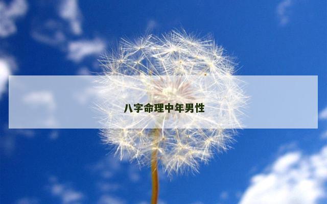 八字命理中年男性