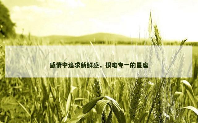 感情中追求新鲜感，很难专一的星座