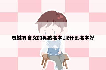 贾姓有含义的男孩名字,取什么名字好