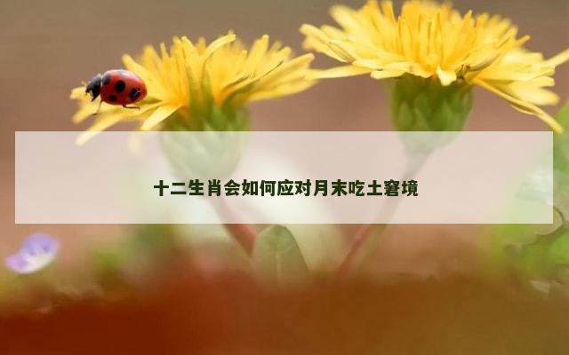 十二生肖会如何应对月末吃土窘境