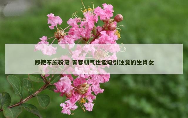 即使不施粉黛 青春朝气也能吸引注意的生肖女