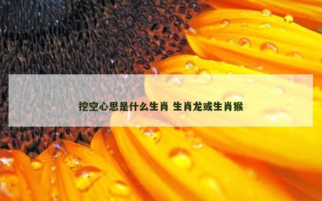 挖空心思是什么生肖 生肖龙或生肖猴