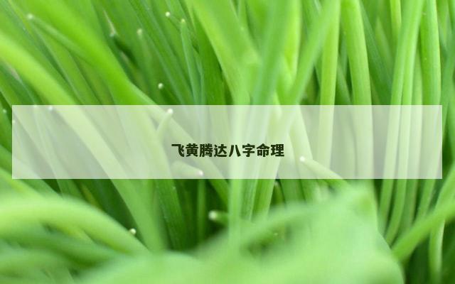 飞黄腾达八字命理