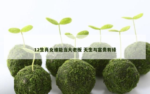 12生肖女谁能当大老板 天生与富贵有缘