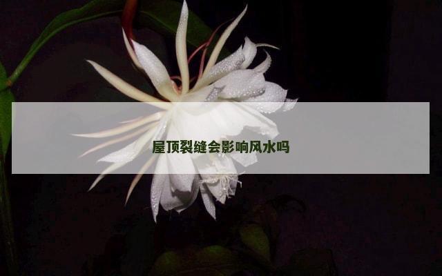 屋顶裂缝会影响风水吗