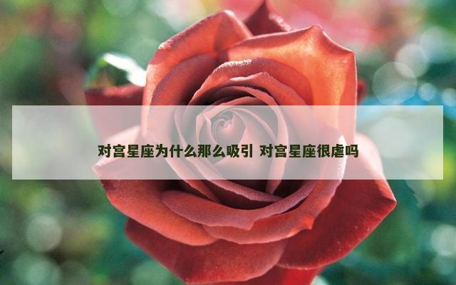 对宫星座为什么那么吸引 对宫星座很虐吗