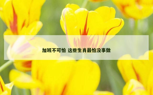 加班不可怕 这些生肖最怕没事做