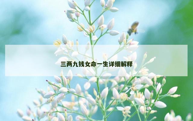三两九钱女命一生详细解释