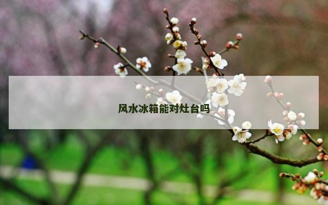 风水冰箱能对灶台吗
