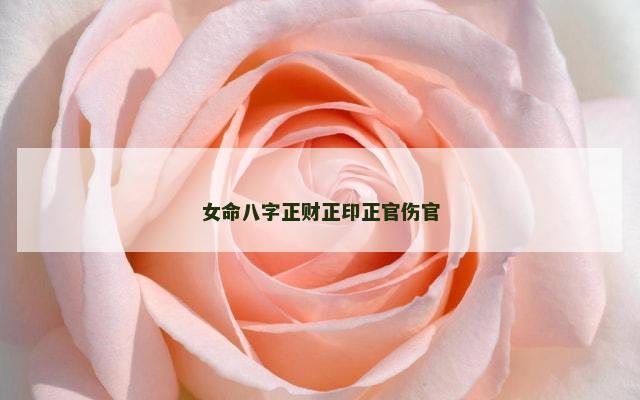 女命八字正财正印正官伤官