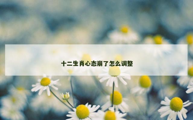 十二生肖心态崩了怎么调整