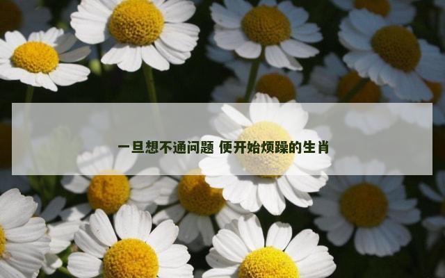 一旦想不通问题 便开始烦躁的生肖