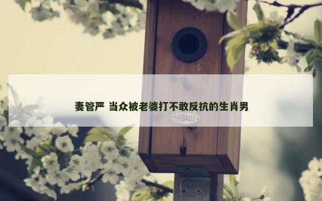 妻管严 当众被老婆打不敢反抗的生肖男