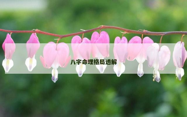 八字命理格局透解