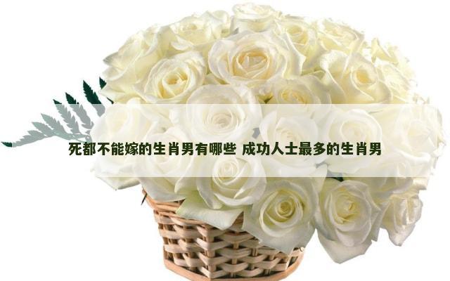 死都不能嫁的生肖男有哪些 成功人士最多的生肖男