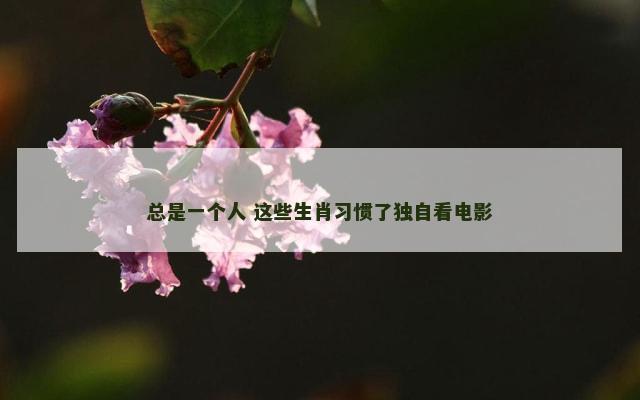 总是一个人 这些生肖习惯了独自看电影
