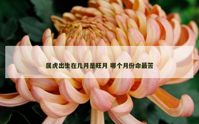 属虎出生在几月是旺月 哪个月份命最苦