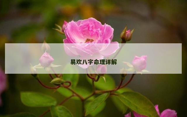 易欢八字命理详解