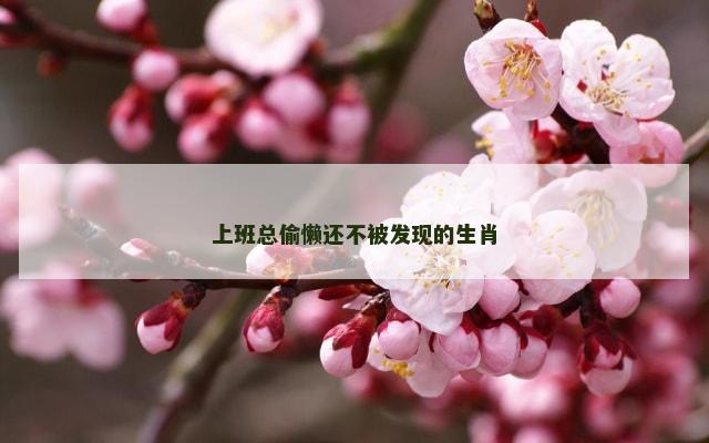 上班总偷懒还不被发现的生肖