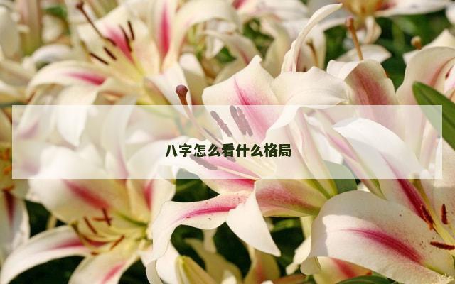 八字怎么看什么格局