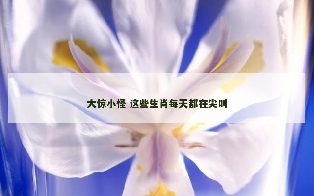 大惊小怪 这些生肖每天都在尖叫