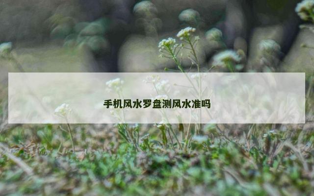 手机风水罗盘测风水准吗