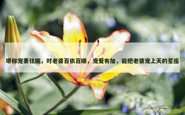 堪称宠妻狂魔，对老婆百依百顺，宠爱有加，能把老婆宠上天的星座