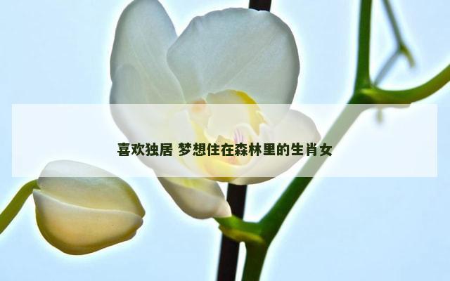 喜欢独居 梦想住在森林里的生肖女