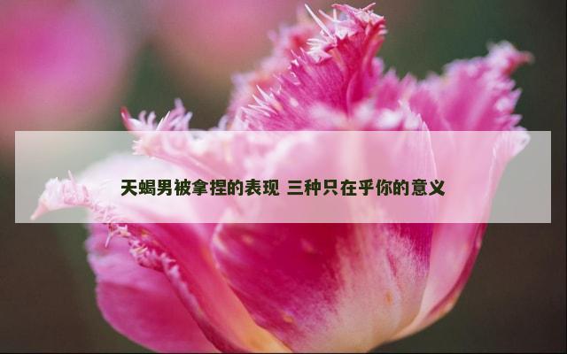 天蝎男被拿捏的表现 三种只在乎你的意义