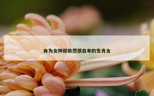 身为女神却依然很自卑的生肖女